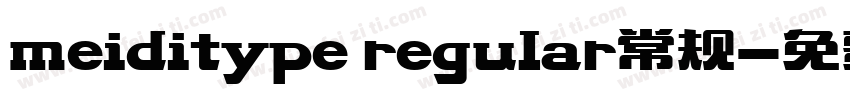 meiditype regular常规字体转换